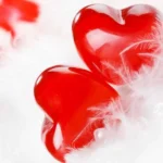 چته رفیق عاشق من