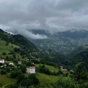 آهنگ فاطمه مهلبان بسوته جنگل
