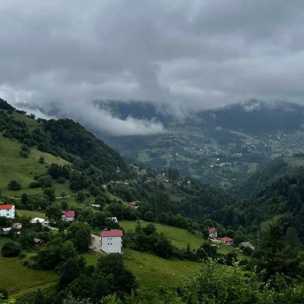 دانلود آهنگ فاطمه مهلبان بسوته جنگل دانلود آهنگ فاطمه مهلبان بسوته جنگل