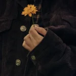 له له لاله جات روی چشامه
