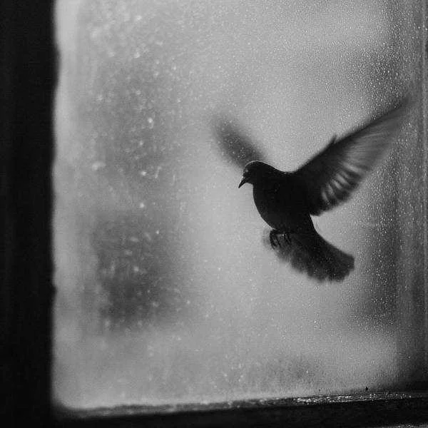 دانلود آهنگ من عاشقتر از پیشم دارم عاشقترم میشم