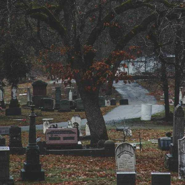 دانلود آهنگ بیا که بریم به مزار ملا ممدجان