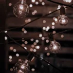 برای روز میلاد تن من