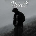 ریمیکس محمد امیری و آرمین برمایه و فرهاد جهانگیری و مهدی احمدی و کیوان و پیام عباسی ویس 3