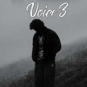 ریمیکس ریمیکس محمد امیری و آرمین برمایه و فرهاد جهانگیری و مهدی احمدی و کیوان و پیام عباسی ویس 3