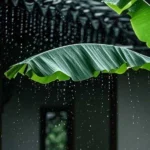 صدای رقص قطره ها رو ناودون