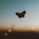 چرا تو چشات غمه