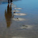 سراب رد پای تو