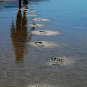 آهنگ سراب رد پای تو