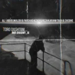 ریمیکس علی عبدالمالکی و رضا کرمی تارا و فرشاد آزادی و علی صاعقه تو رو داشتم ولی تو خواب بودم