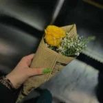 من برات یار میشم ریمیکس