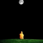 میرم یادت باشه گل گلدون