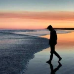 اما چه خوشه ولا بنفشه در فصل بهار