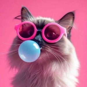 آهنگ فانک میو میو