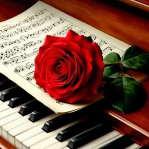 آهنگ شیرین ای شیرین تا تماشای تو نکم