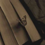 تو زدی منو پس هی قلبمو میدی پس کی