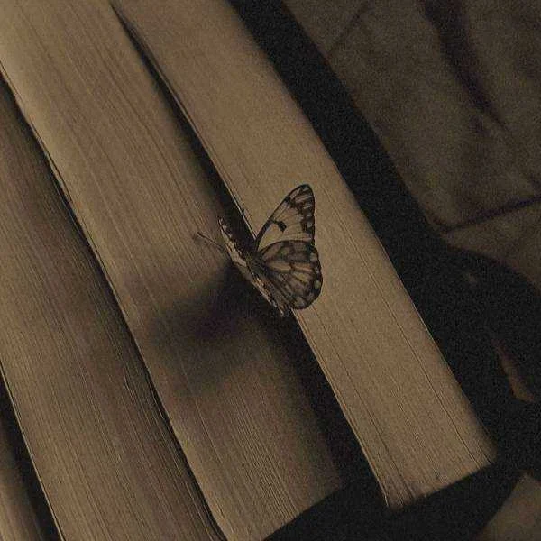 دانلود آهنگ تو زدی منو پس هی قلبمو میدی پس کی