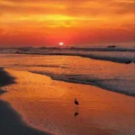 یاد تو هر تنگ غروب تو قلب من می کوبه