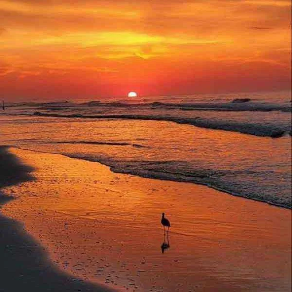 دانلود آهنگ یاد تو هر تنگ غروب تو قلب من می کوبه دانلود آهنگ یاد تو هر تنگ غروب تو قلب من می کوبه