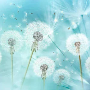 آهنگ یه روز یه قاصدک تو هوا میزد پرسه ریمیکس