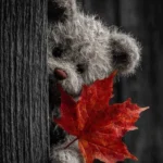 هر گوله ترند اینستا