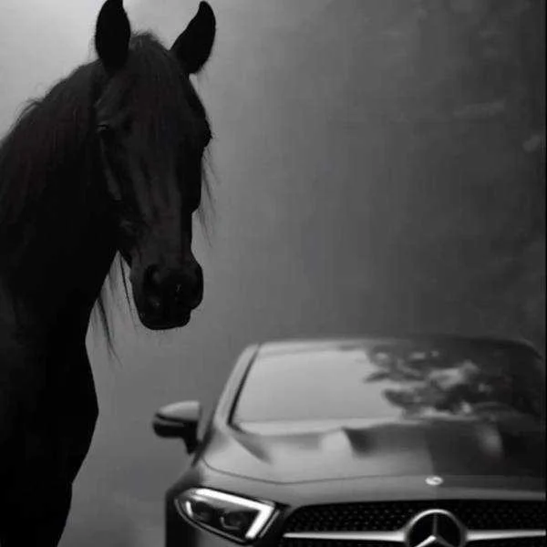 دانلود آهنگ Mama look at me now دانلود آهنگ Mama look at me now