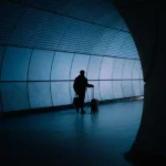 نمردم قوی تر شدم