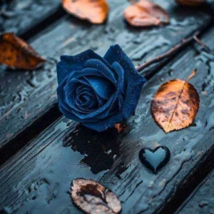 آهنگ چه خبر یار