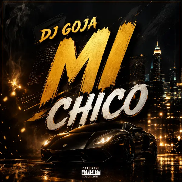 دانلود آهنگ mi chico می چیکو از Dj Goja دانلود آهنگ mi chico می چیکو از Dj Goja