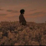 تو منو گرگم کردی با صدای زن