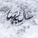 دانلود آهنگ محسن چاوشی سال بی بهار