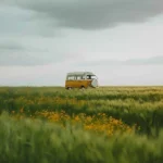سلام عزیز دلم در چمنت بلبلم