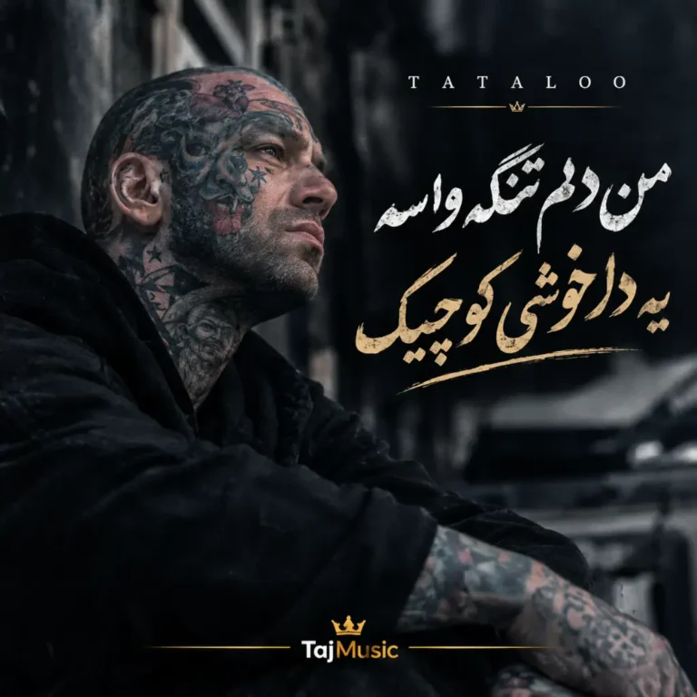 دانلود آهنگ من دلم تنگه واسه یه دلخوشی کوچیک دانلود آهنگ من دلم تنگه واسه یه دلخوشی کوچیک