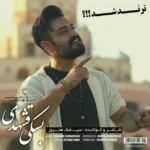 بسکی قشهدی از سیامک هنرور