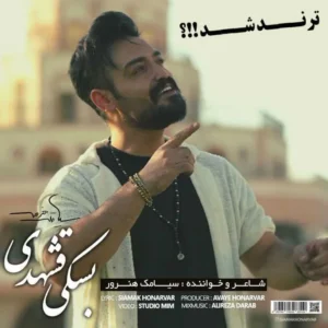 آهنگ بسکی قشهدی از سیامک هنرور