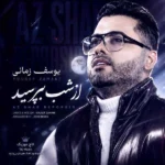 از شب بپرسید میگه چه روزگاری دارم