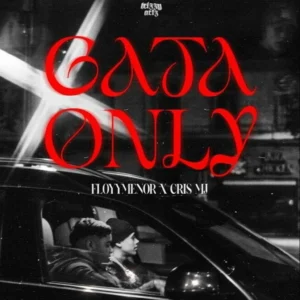 آهنگ gata only