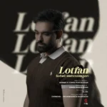 لطفا از سهیل مهرزادگان