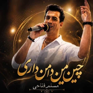آهنگ چین چین دامن داری