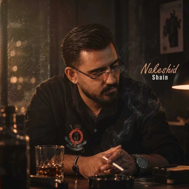 دانلود آهنگ شاین نکشید دانلود آهنگ شاین نکشید