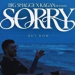 بیگ شگی ساری Sorry