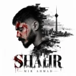 دانلود آهنگ میر احمد شهر