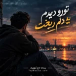 تورو دیدم یهو دلم ریخت