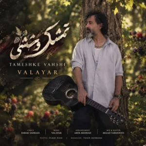 آهنگ والایار تمشک وحشی