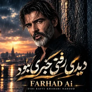 آهنگ دیدی رفتی خبری نبود
